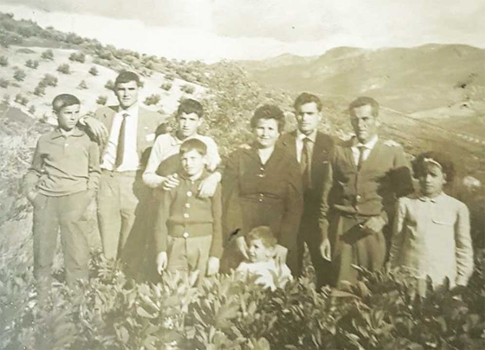 Mountain olive groves: an economic sector support Mountain olive groves: an economic sector support
