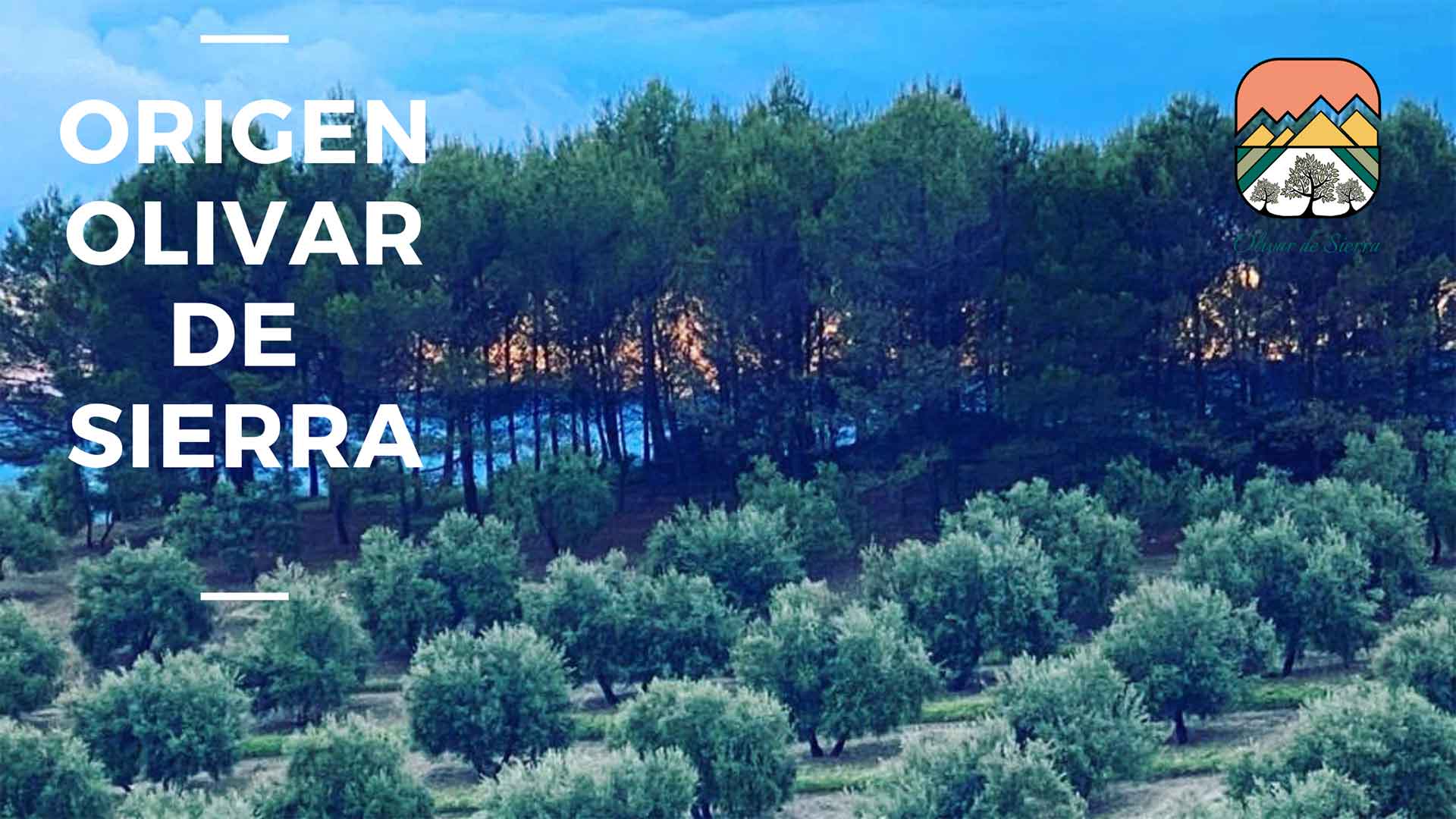 Extra virgin olive oil. Origin, olivar de sierra Extra virgin olive oil. Origin, olivar de sierra