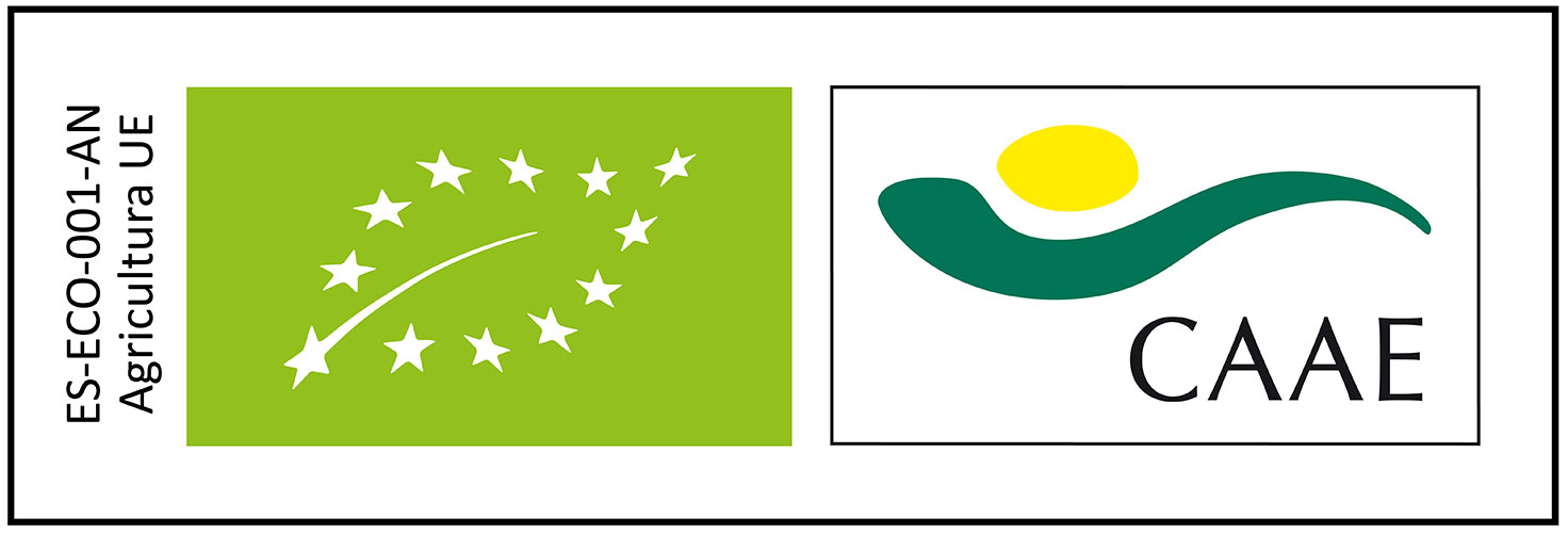 CAAE+UE (AN-UE) Stamp CAAE+UE (AN-UE) Stamp